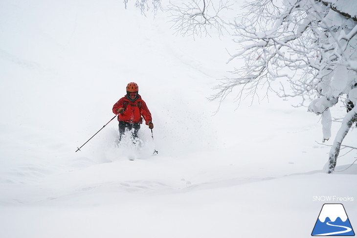 DYNASTAR SKI 